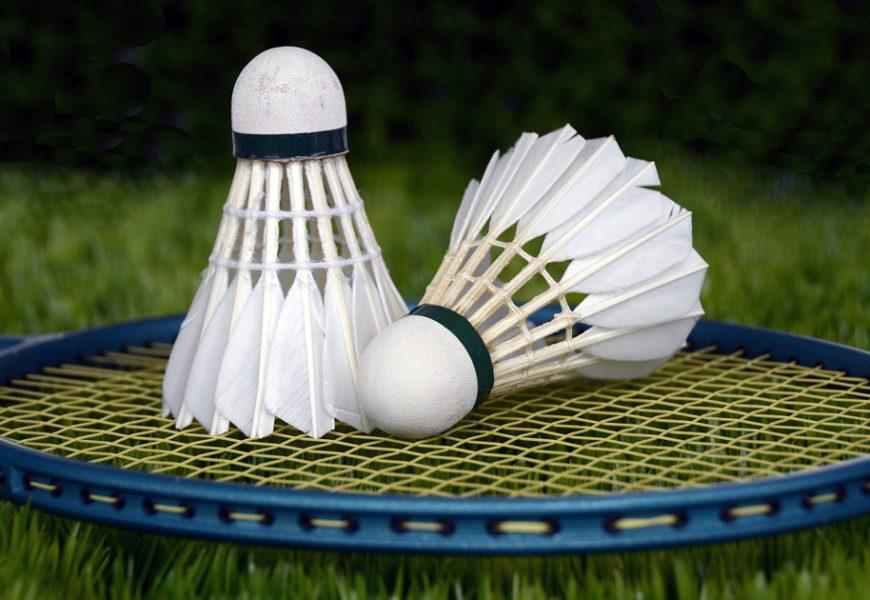 Badminton in Wien