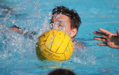 Wasserball in Wien