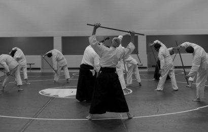 Aikido in Wien