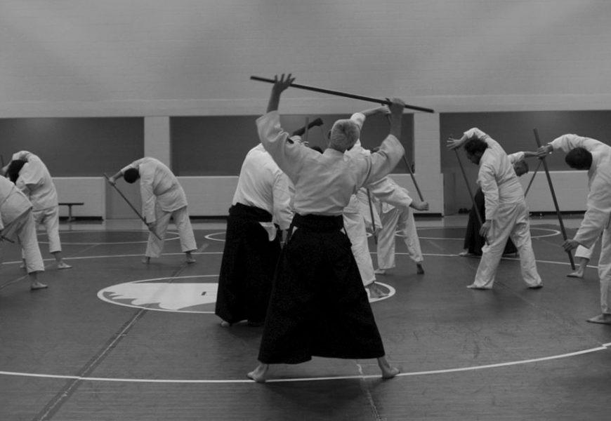 Aikido in Wien