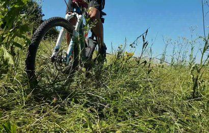 Mountainbikestrecken in Wien und Umgebung