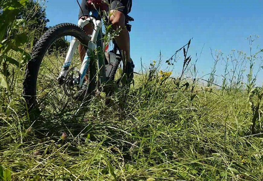 Mountainbikestrecken in Wien und Umgebung