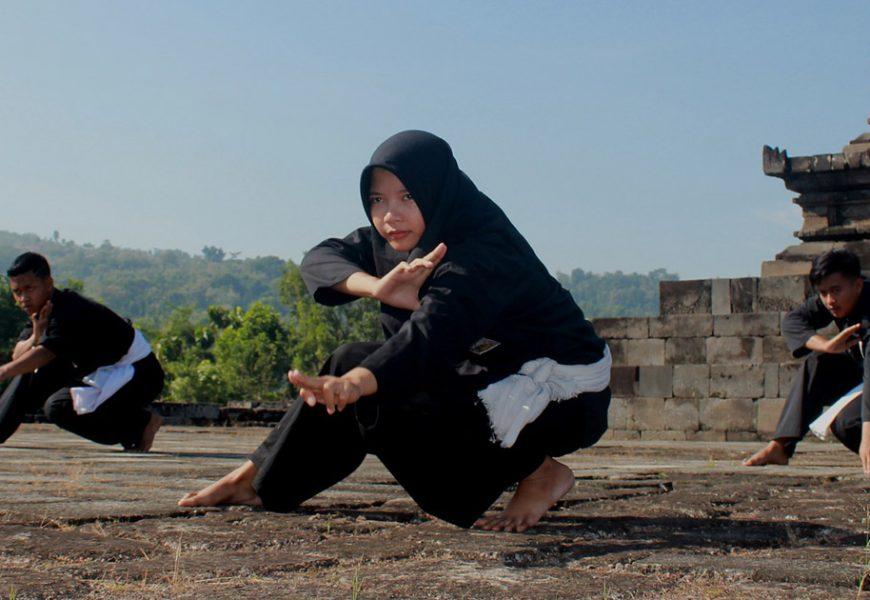 Silat Kung Fu in Wien