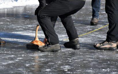 Eisstockschießen in Wien