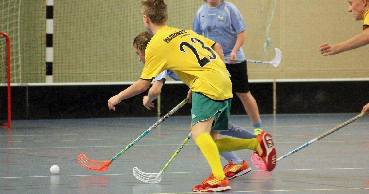 floorball wien