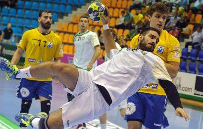 Informationen zu Handball in Wien