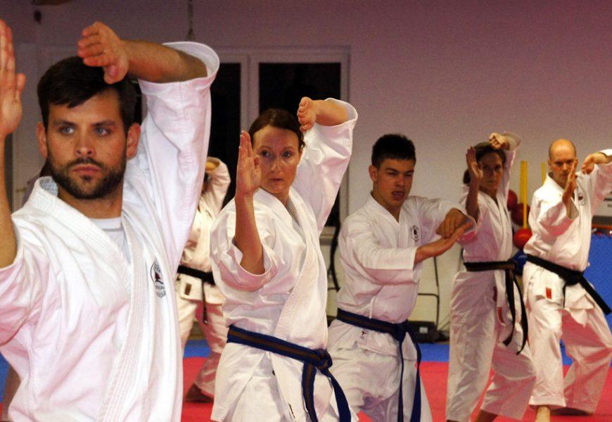 Latar Do – Universal Martial Art