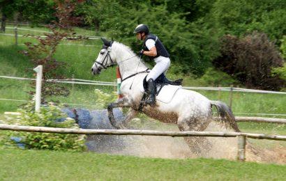 Reitsport in Wien