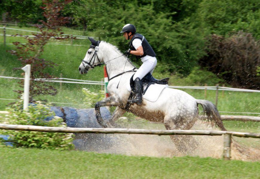 Reitsport in Wien