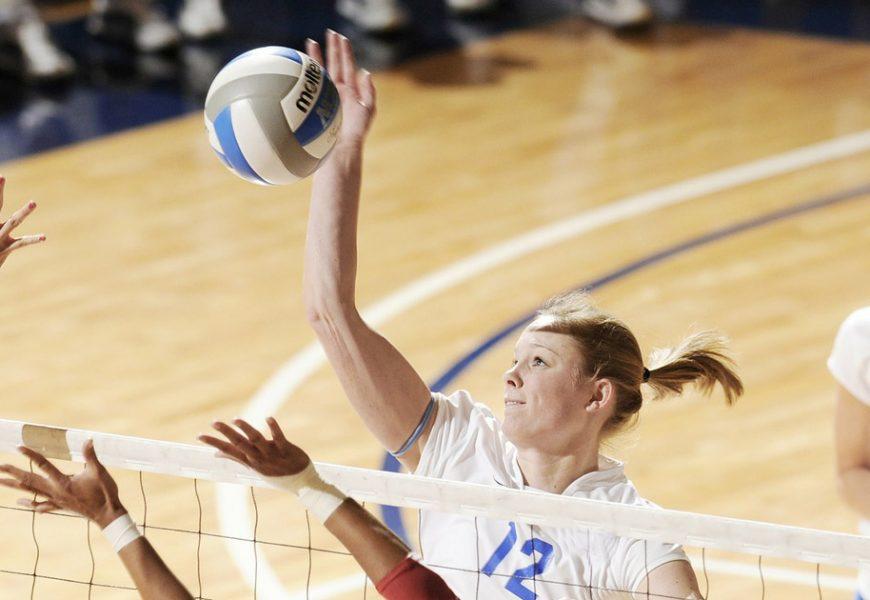 Volleyball in Wien