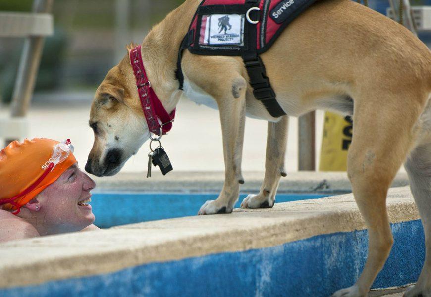 Der Wiener Behindertensportverband