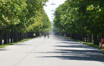 Bald ist es soweit – auf der Zielgeraden zum „100 km Wien Lauf“ 2018