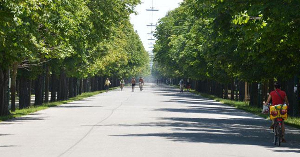 100 km Wien Lauf 2018