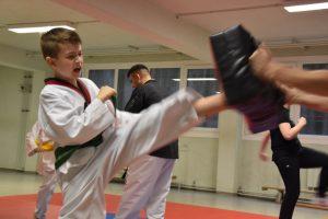 Vienna Taekwondo School