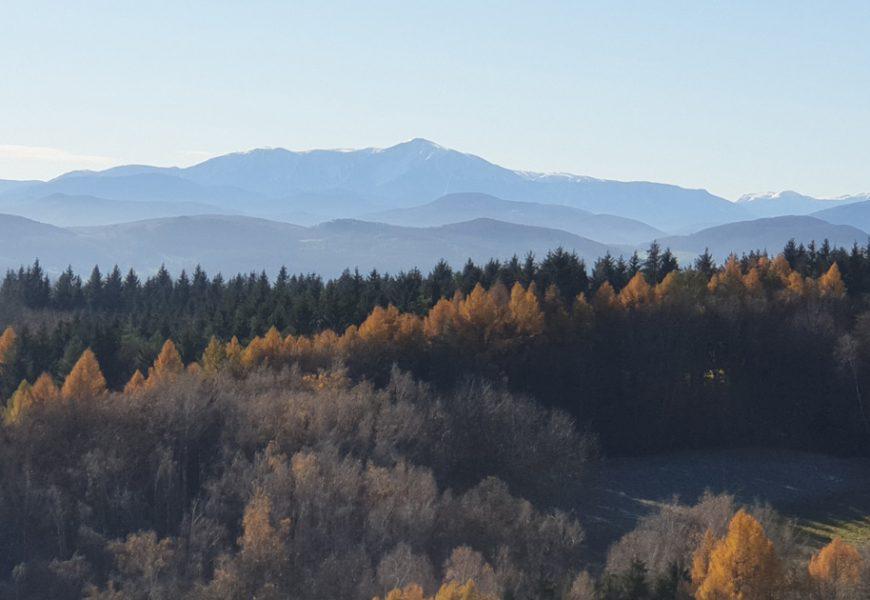 Weekly Trailrun by Wemove Runningstore – Kaltenleutgeben bei Wien Weekly Trailrun by Wemove Runningstore – Kaltenleutgeben bei Wien