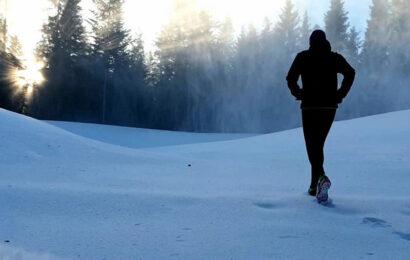 Der Vienna Winter Trail am 7. Jänner 2023