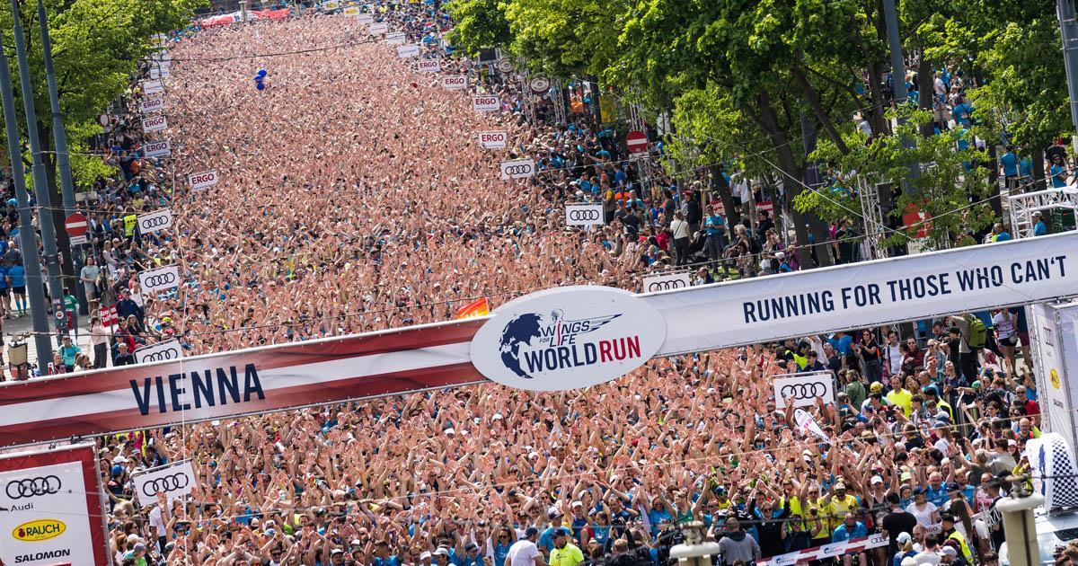 wings for life world run 2024 in wien