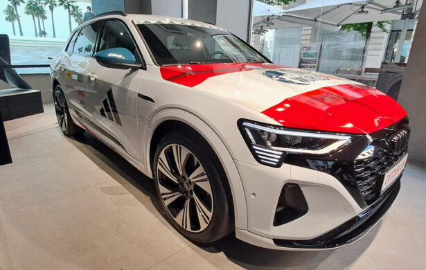 Das berühmte Catcher Car des Wingsforlifeworldrun 2024: Audi Q8 e-tron