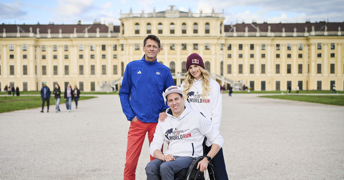 wings for life world run 2026 flagship run wien schloss schönbrunn