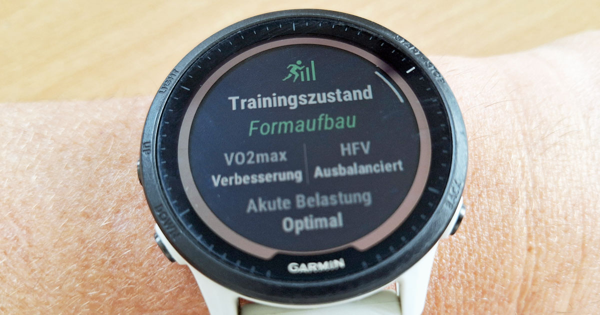 garmin sportuhr