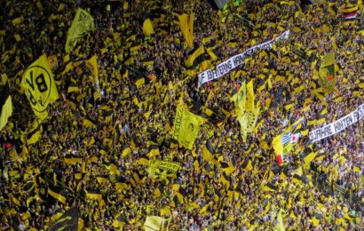 Sportfan oder Profisportler: Beides zusammen schwierig?