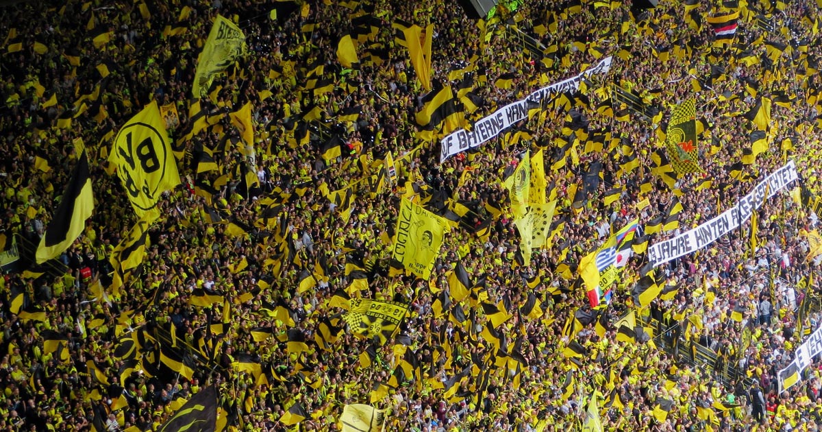 sportfan oder profisportler